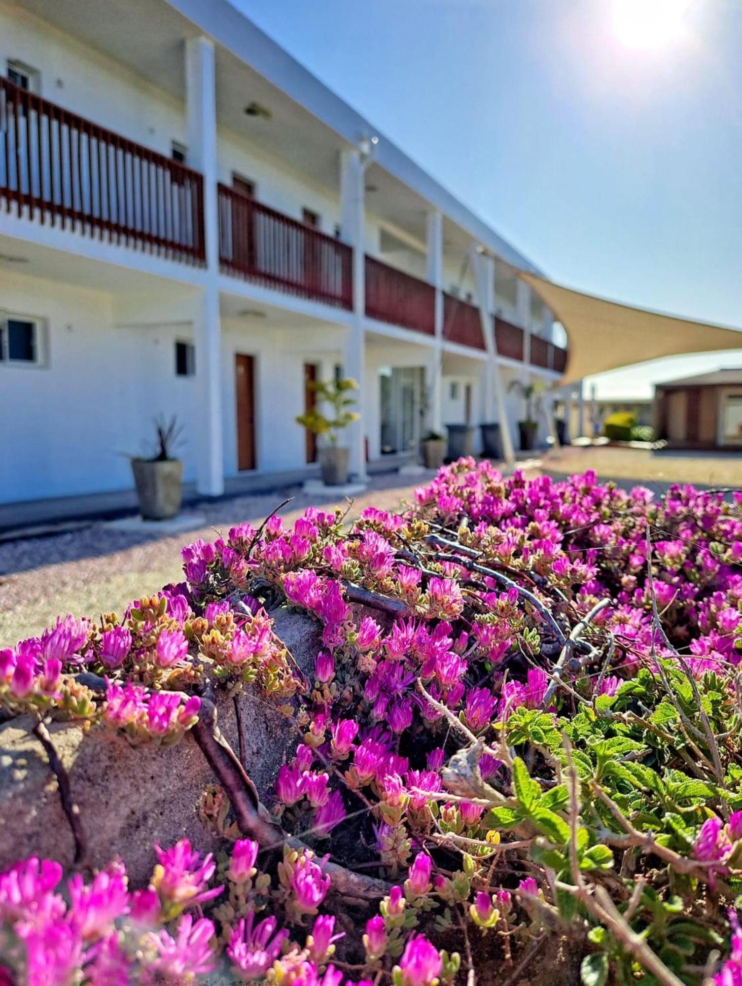 Zen Boutique Apart Hotel La Paloma Exterior photo