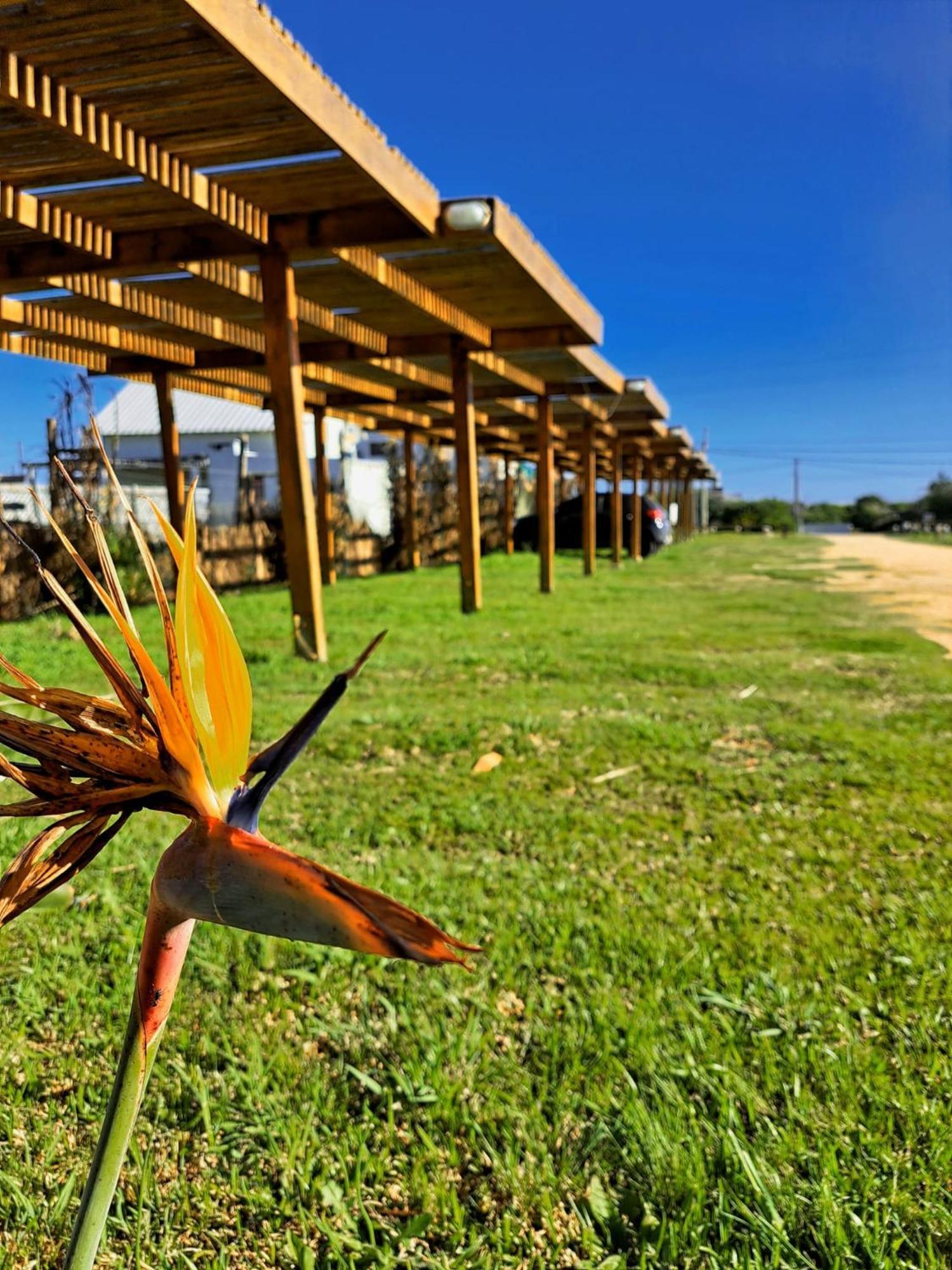 Zen Boutique Apart Hotel La Paloma Exterior photo